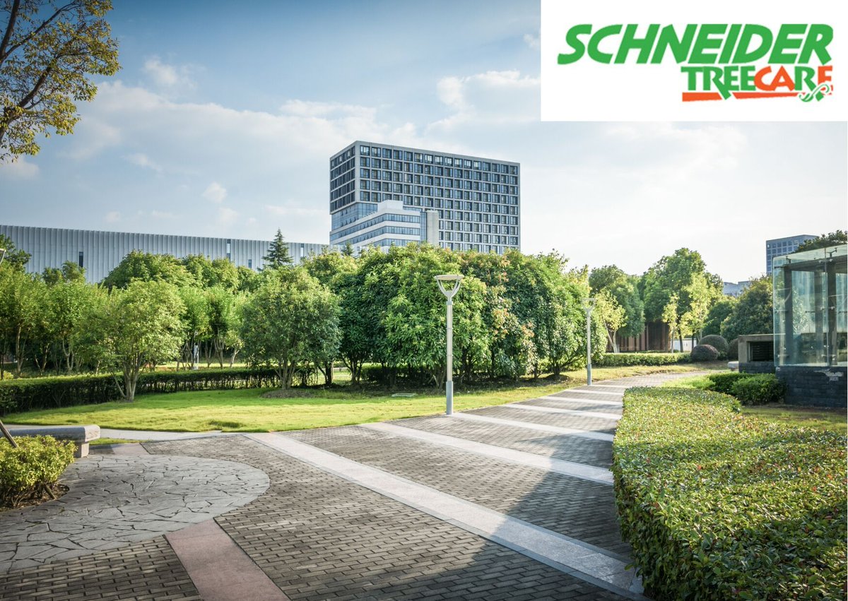 Experienced arborists at Schneider Tree Care can help you with your commercial property's tree care needs. We can assist in developing cost-effective plans that can maximize the appeal and longevity of your trees. Call 864-664-2025. #SchneiderTreeCare #CommercialTreeService