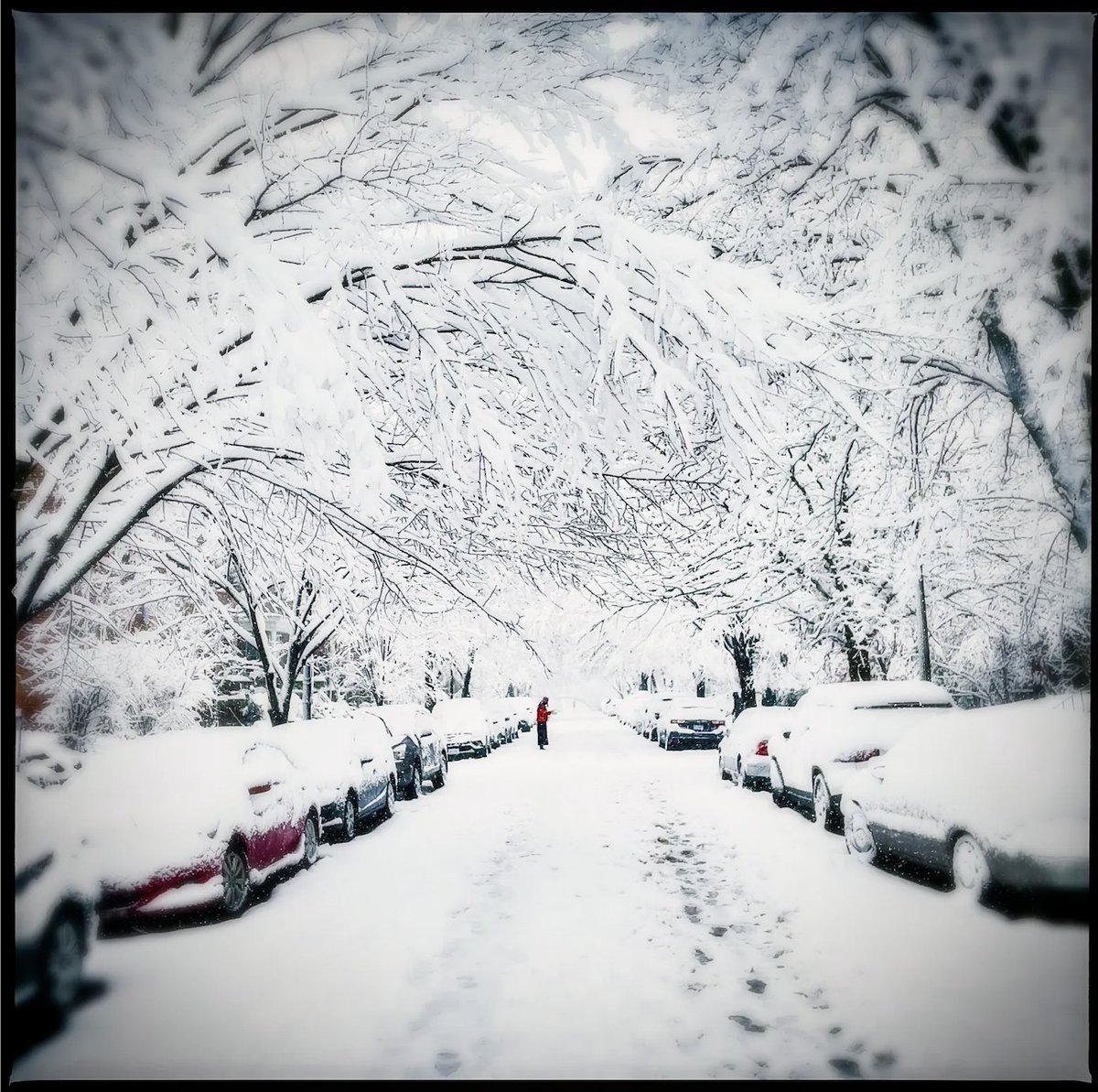 The Capital Weather Gang's predictions for a mild winter have proven true, and our hope for a big snow is waning. This time last year, City Paper staff photographer Darrow Montgomery captured the historically snowy month. His 2022 in Photos is at the link. bit.ly/3Wka9IY