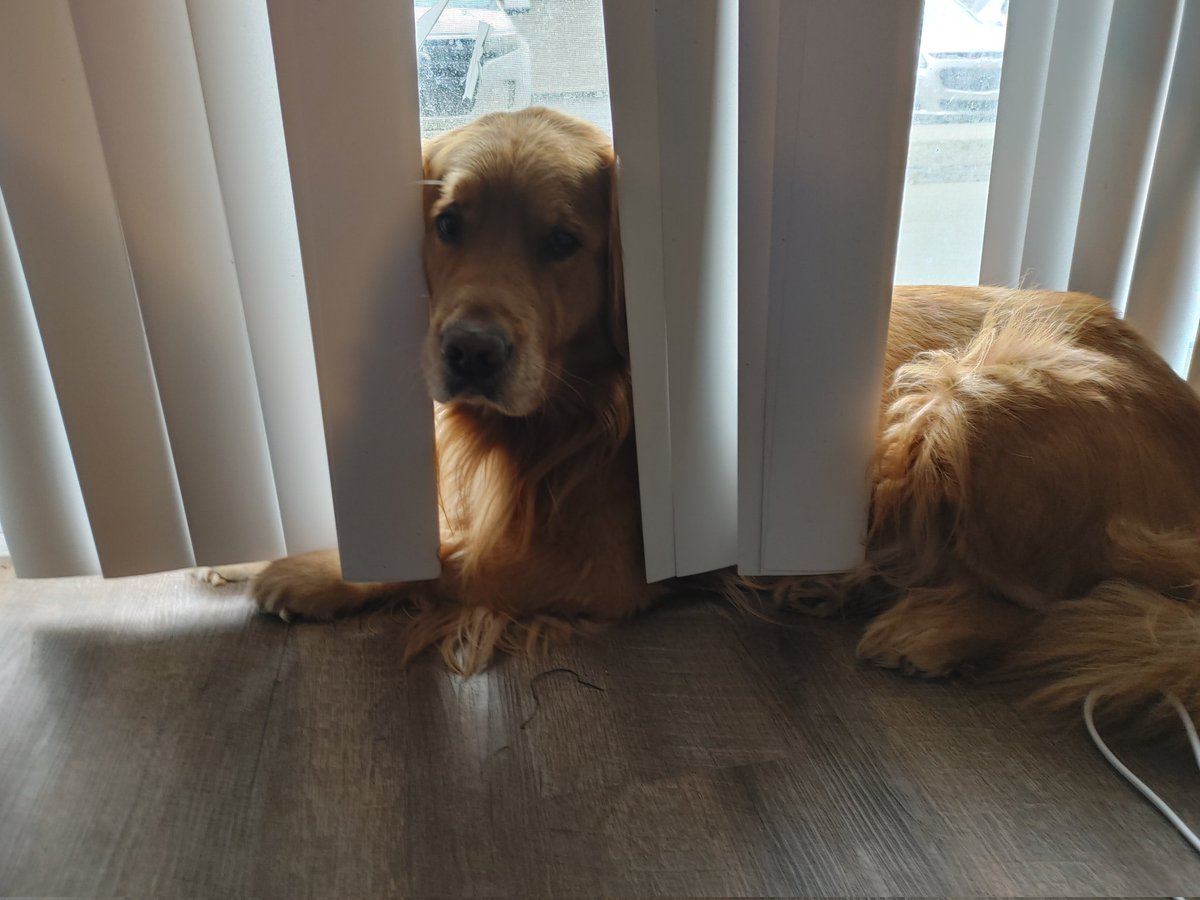 Lloyd_Braun & Mr. Morgan tweet media