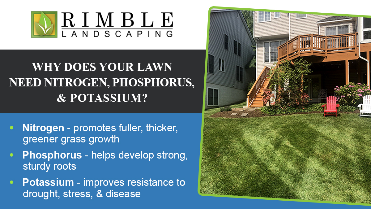 There's no need for guesswork!

Our #fertilization program provides the ideal amounts of the 3 nutrients mentioned below to help your lawn fight off diseases, weeds, and insect infestations!

If you're in or around #AnnandaleVA, call today! 703-570-5534

rimblelandscaping.com/fertilization/