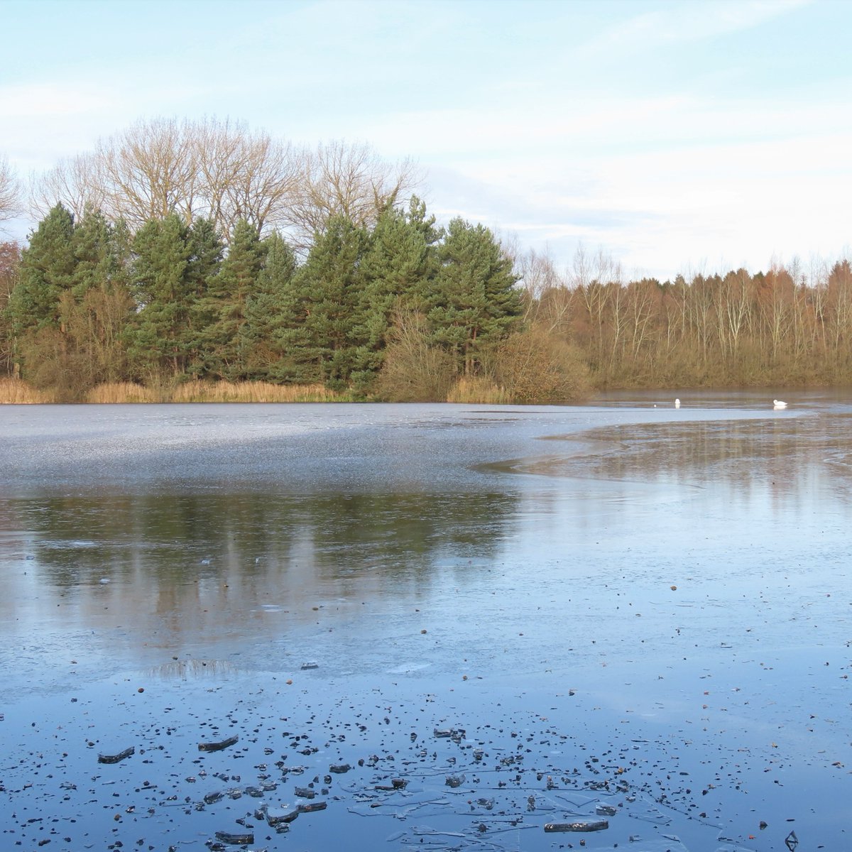 We are looking forward to meeting our new Complete Photography learners today.

These pictures were taken by Helen from our Autumn 2022 course.

Click the link to find out more information and to register your place on our Spring '23 course:

eventbrite.co.uk/e/163641761915