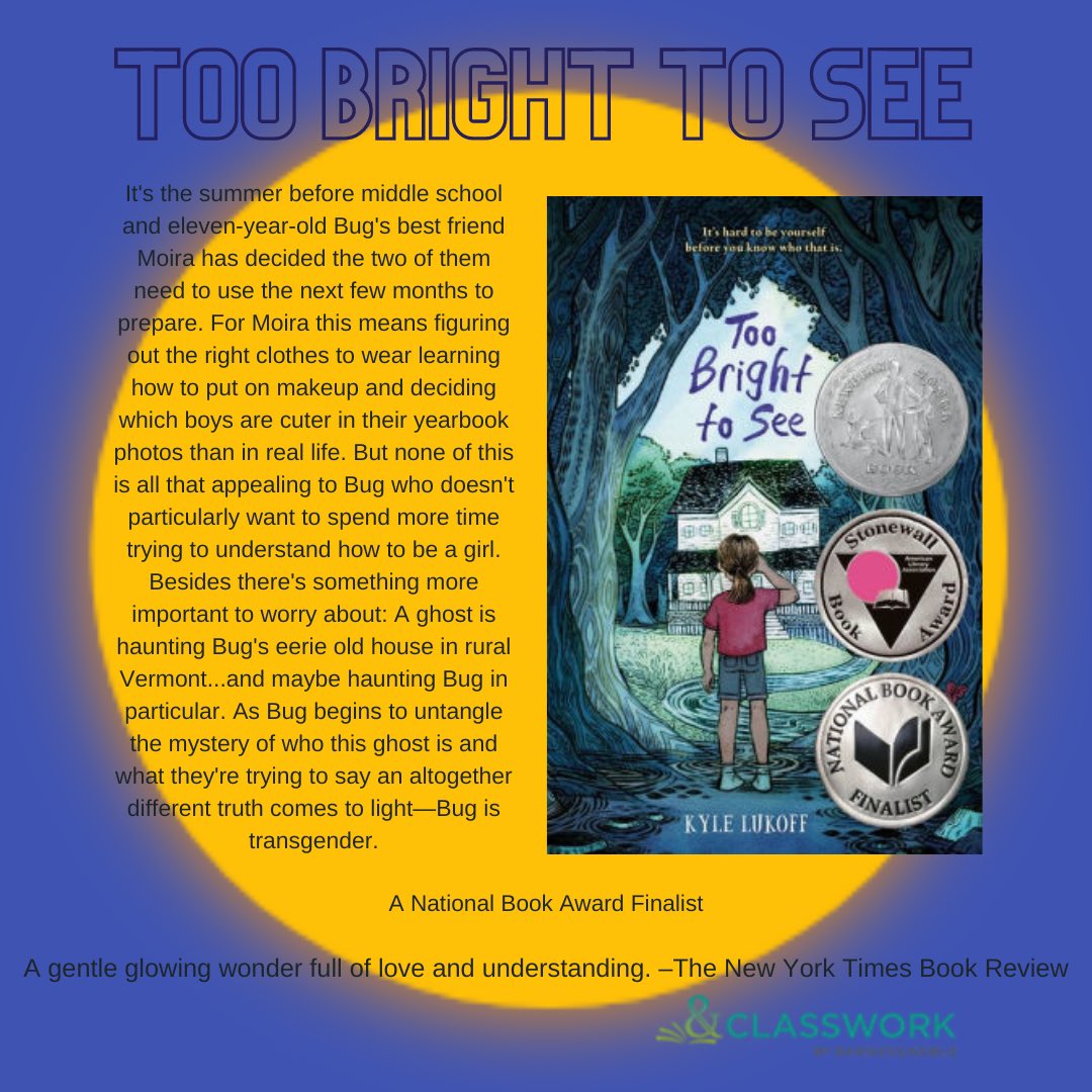 #DiscoveryThursday brings you Too Bright to See. A very smart and empathetic book about discovering your true self. @KyleLukoff award winning 🥇 book is a great book to add to any middle or high school library. 📚Available now on your @bn_classwork account! #BookTwitter
