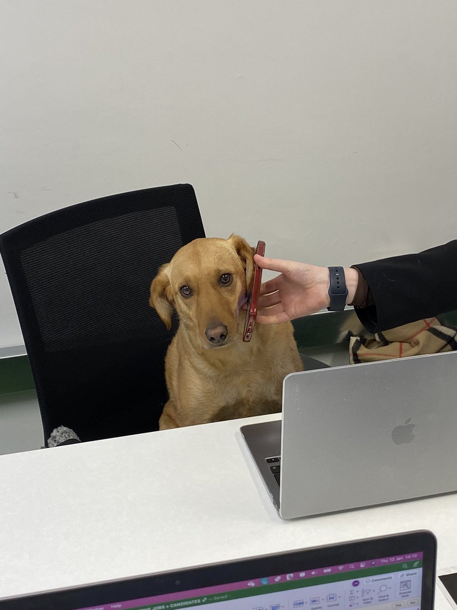 Niche Software Recruitment tweet media