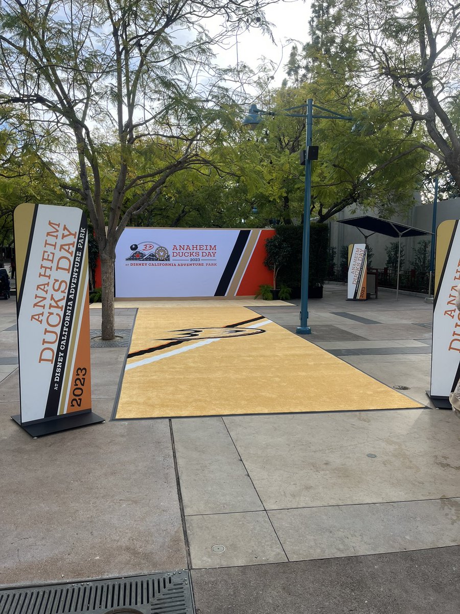 momowrnr's tweet photo. Ducks day at DCA today! Got my merch, got my M&G wristband…. Now to just walk on a couple rides #anaheimducks #ducksday https://t.co/NqyFpqLLJh