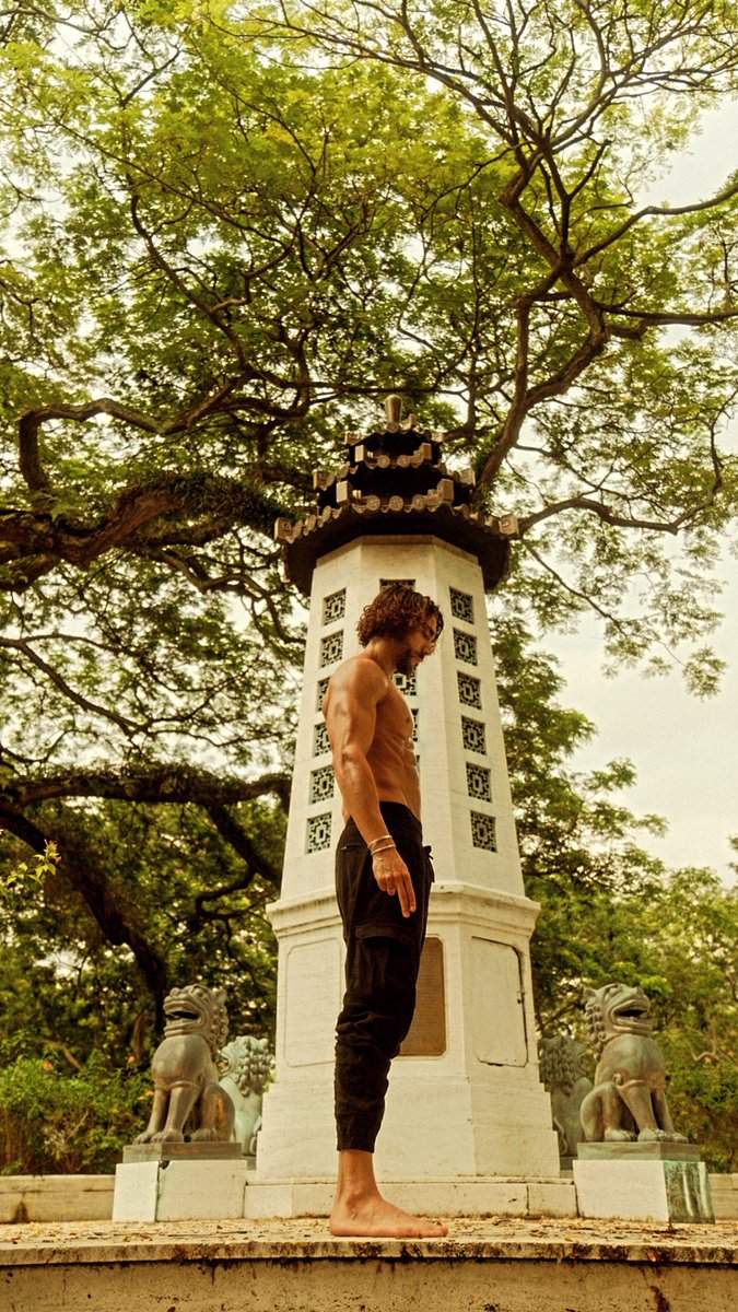 MR BELMAR ⛩ tweet media