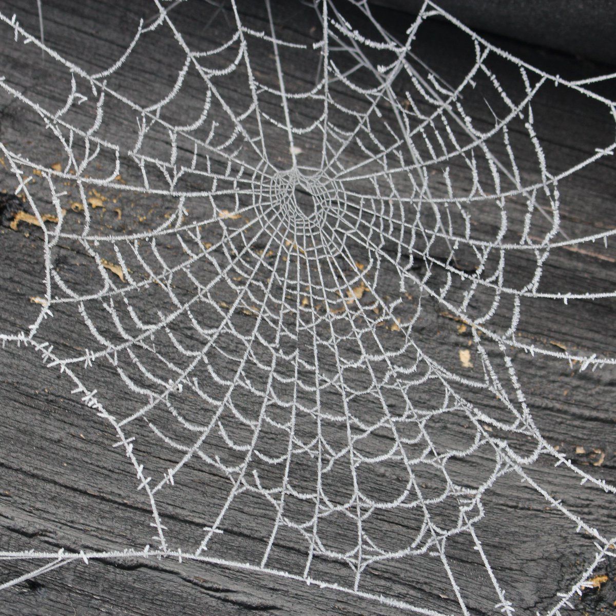 We are looking forward to the second week of our Complete Photography course.

These pictures were taken by Peter from our autumn 2022 course.

Click the link to find out more information and to register your place on our spring 23 course:

eventbrite.co.uk/e/163641761915