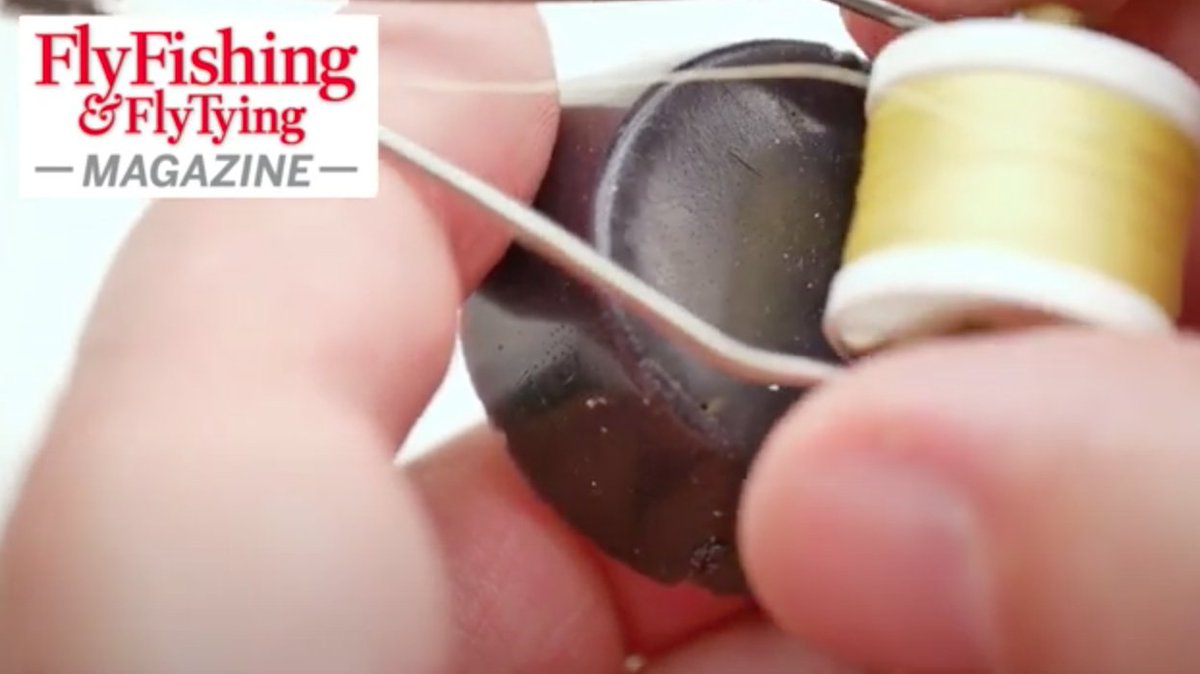 FFFTmag's tweet image. Why do fly tyers use cobbler's wax? The advantages and effects are shown in the latest video posted on the FF&amp;amp;FT home page: flyfishing-and-flytying.co.uk

#flytying #waxedthread #spiders #softhackles #threadcolour #dirtyolive #yellows #olives #cobblerswax #ffft