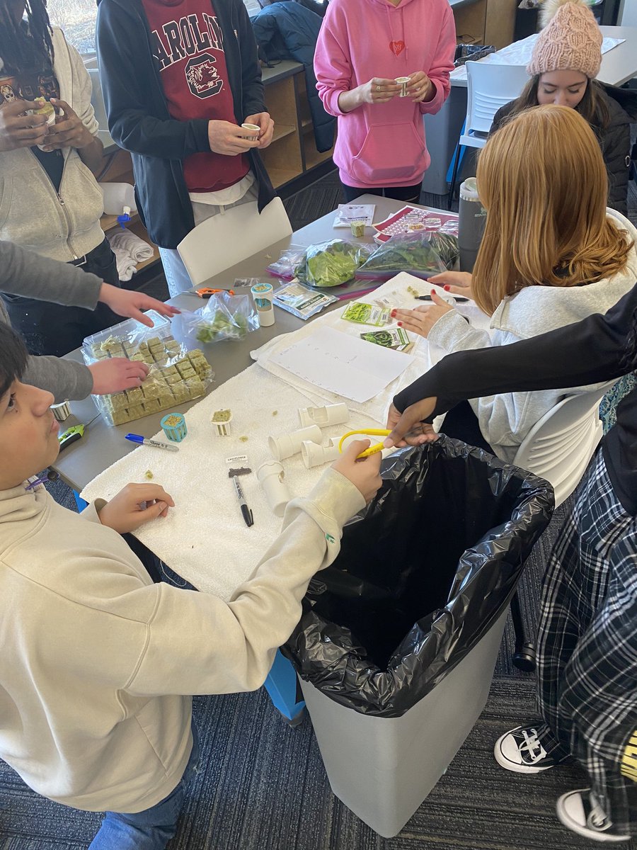 New Semester, New Cubes. We are exploring some new varieties. Can’t wait for them to sprout. <a href="/Gardyners/">Gardyn</a> <a href="/MrsNBusse/">nathania busse</a>