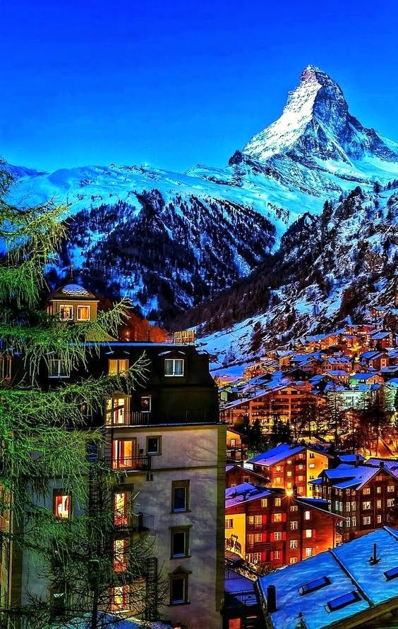 Lea 🌸🌿🕊️ tweet media