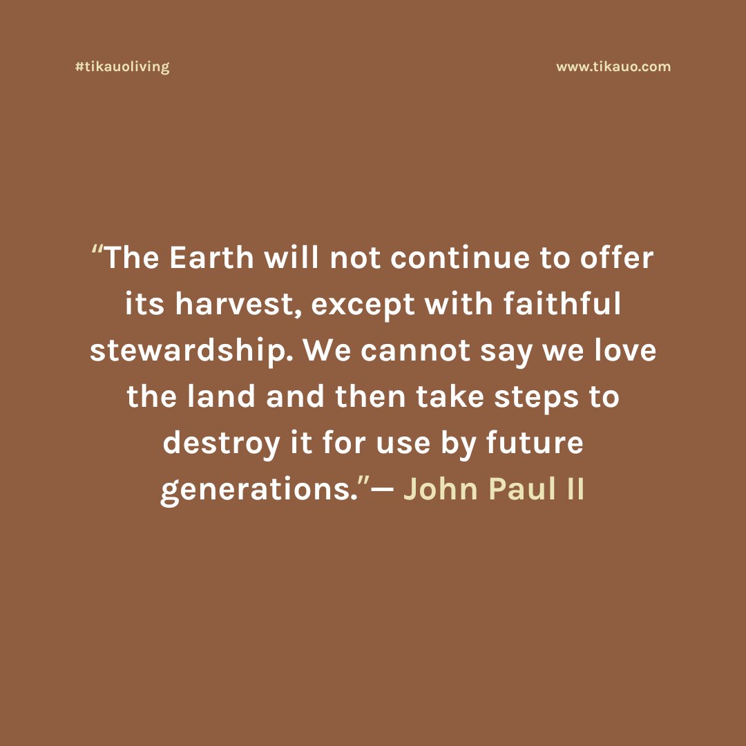 The Earth is a gift, not just to us but to future generations. We must give it back a chance to thrive and flourish.

 #quotesdaily #quotes #movtivationalquotes #zerowastehome #zerowasteliving #vegansofinstagram #sustainablelifestyle #sustainableliving