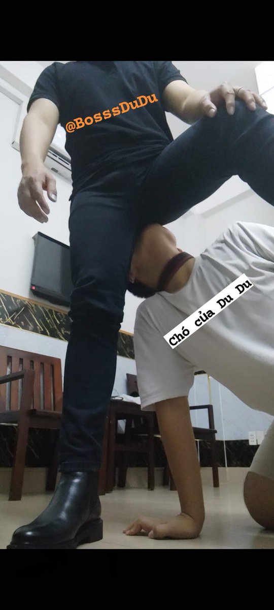 DuSm96's tweet photo. Mặt con chó đang nằm trọn dưới đít, hít trọn sự nhục nhã mà boss ban cho 😎
Cảm giác này thật phê... https://t.co/en6epsKL2w
