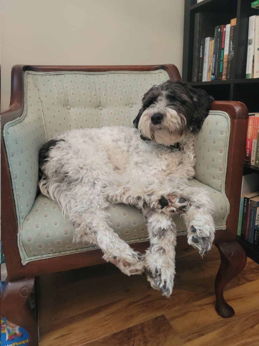 The worst part of working from home is that when the "office kitchen" is messy there is no one to blame but yourself. The best part is this office mate.