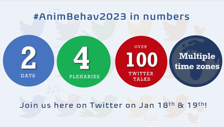 Reminder that the 2nd global Animal Behaviour Twitter conference will be live on the 18-19th January!
Follow the talks using the hashtag #AnimBehav2023 
Talks will also be retweeted on the <a href="/AnimBehSociety/">Animal Behavior Society</a> and @asab_tweets accounts