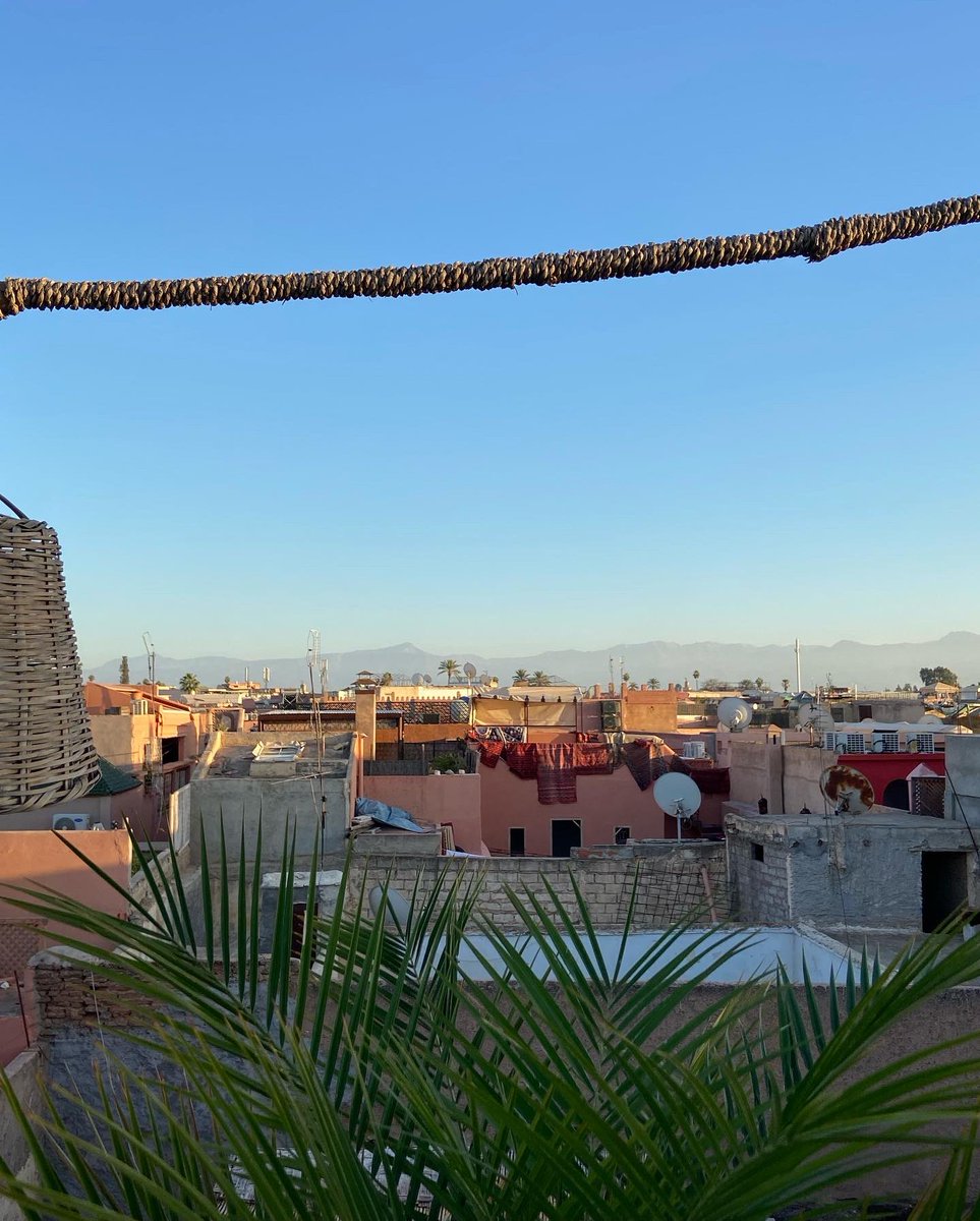 chiarascalco's tweet photo. Marrakech, quiete a due passi dal frastuono di Jemaa El Fna 🌴 https://t.co/2gLJegr0Aw