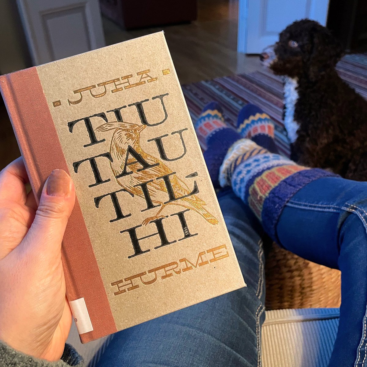 Aivan mahtava kulttuuripenkuu yhden pienen viisun tähden! En enää koskaan pysty katsomaan töyhtöpäitä muistamatta mm. että muinaisen roomalaisen Pliniuksen mukaan tilhet kelpasivat lyhdyiksi, koska hehkuivat pimeässä. Itsevalaiseva maine eli aina 1500-luvulle saakka. 
#juhahurme