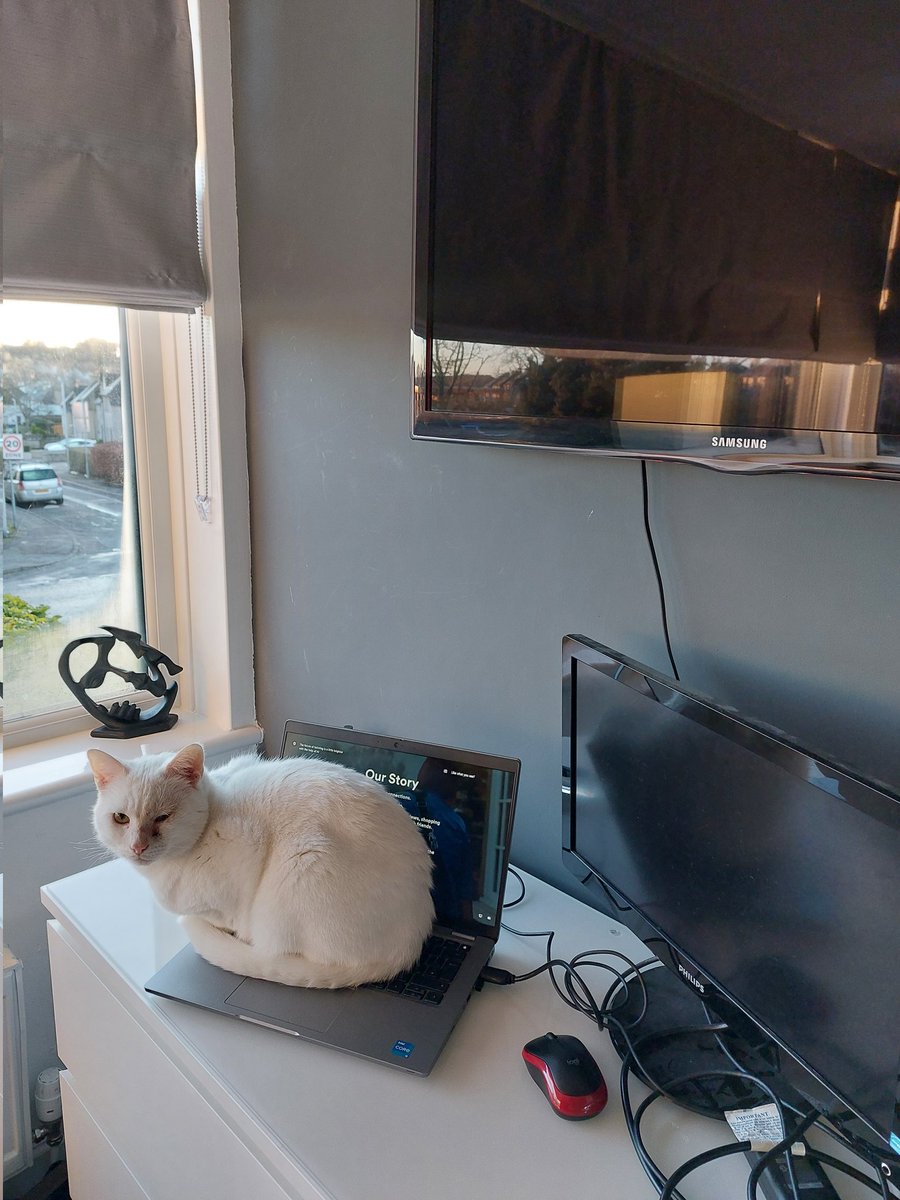 daryltsg's tweet image. Had some cover this morning whilst pouring a cuppa ☕️ 

#efficientworking

Excuse my temp home working set up 🙈