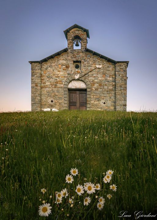 gandinirozzi's tweet photo. Cammini nell'erba...
all'improvviso ti appare così pulita
nella sua architettura, così sana
da chiederti:"Ma da quanto sei qui?"
Lui però c'è sempre #ilSignore https://t.co/2xF5LVIF1f
