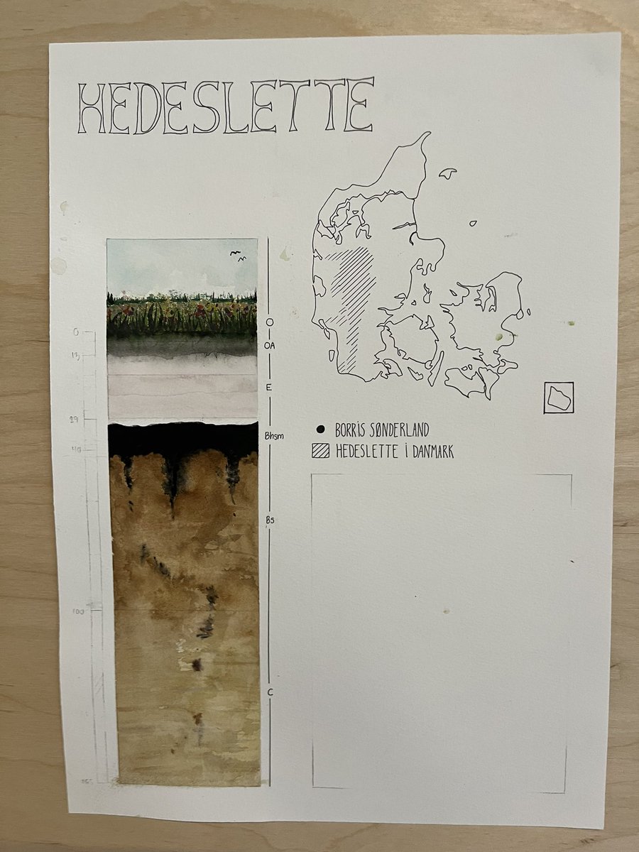 Beautful drawings of Danish soil profiles by our brilliant 1st year  landscape architect students at #kbhuni. Drawings cover the wide range of soiltypes found in Denmark. We teach the students soil science through drawing #soilart #soil