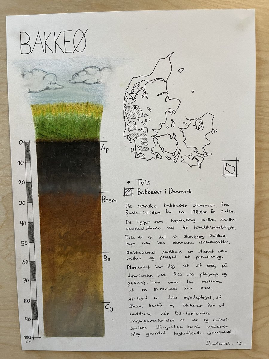 RiisSoil's tweet photo. Beautful drawings of Danish soil profiles by our brilliant 1st year landscape architect students at #kbhuni. Drawings cover the wide range of soiltypes found in Denmark. We teach the students soil science through drawing #soilart #soil https://t.co/d2d0KLR44O