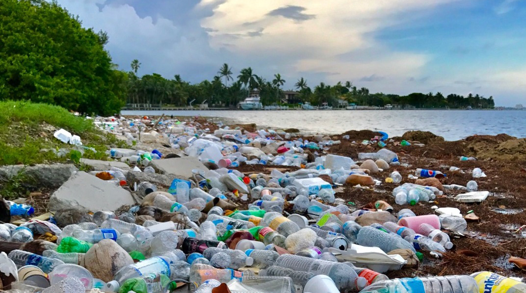 NOAADebris's tweet photo. Our partner @OurOcean is leading a new Plastic Free Cities campaign to inspire the next generation of environmental leaders and engage local businesses in Florida’s Miami-Dade County to reduce single-use plastics in the food industry. Learn more: https://t.co/1kXq8qPSUf https://t.co/tZlRw0XibS
