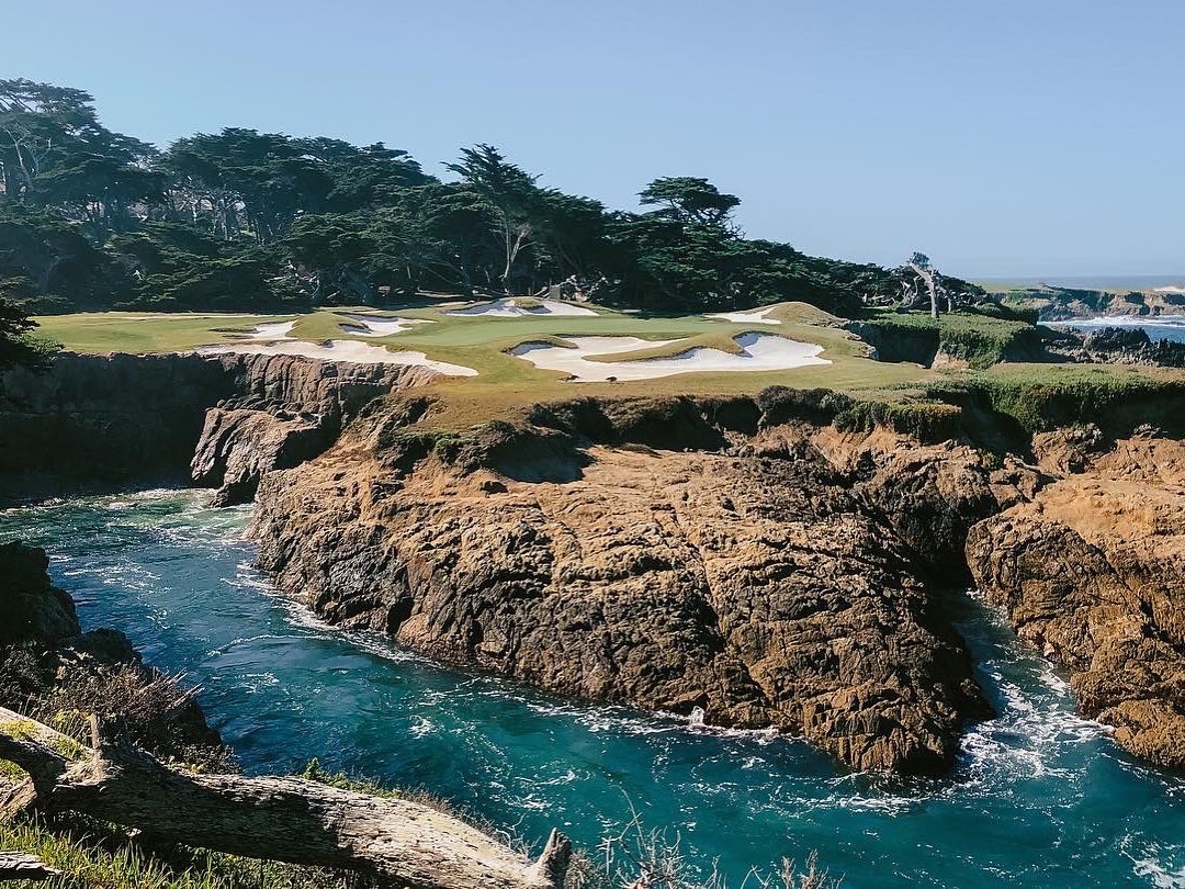 Fried Egg Golf tweet media