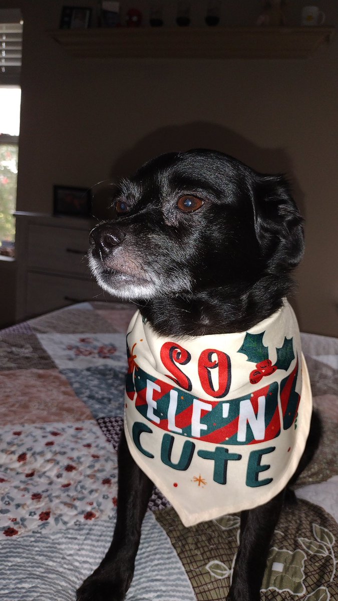 Tracy Lee Brewer tweet media