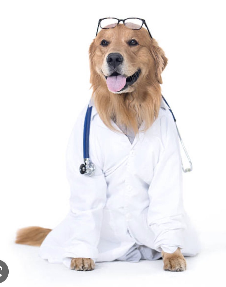 D_Loucks's tweet photo. Vague business ideas: Lab techs but only using labradors. https://t.co/utHduxgw0m