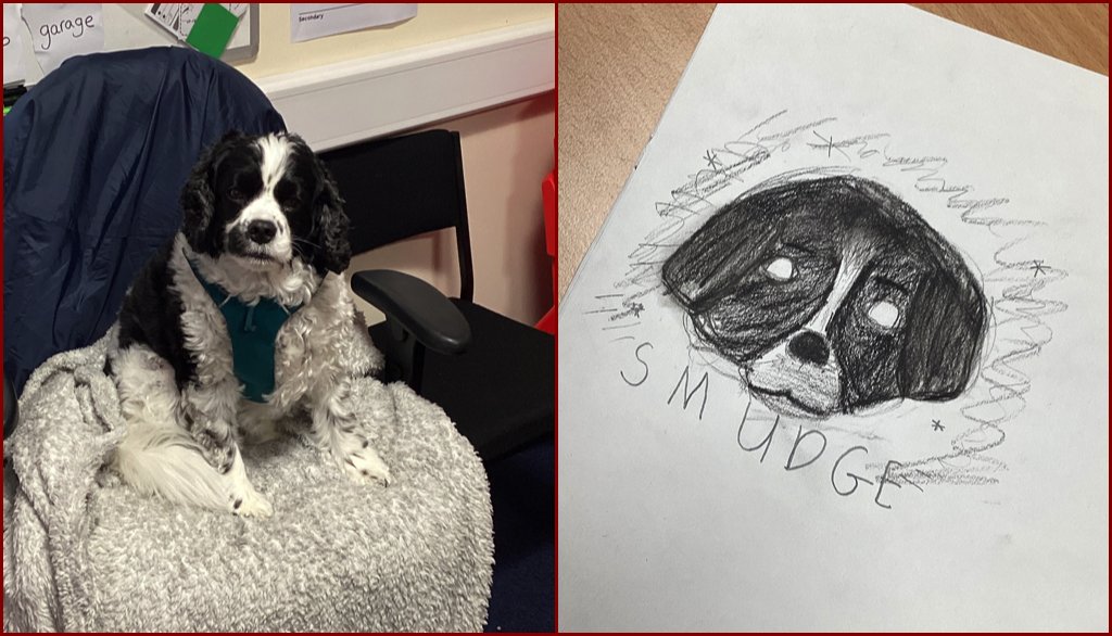 B31Voices's tweet photo. What a cutie Smudge is and loving the art ❤️ 

@BellfieldJunior: "Yesterday a group of children had a special visitor sit for a portrait- Smudge the dog!"

#SWBrumCREATIVE #Art #CuteDog #Northfield https://t.co/PVTMjX2kHo
