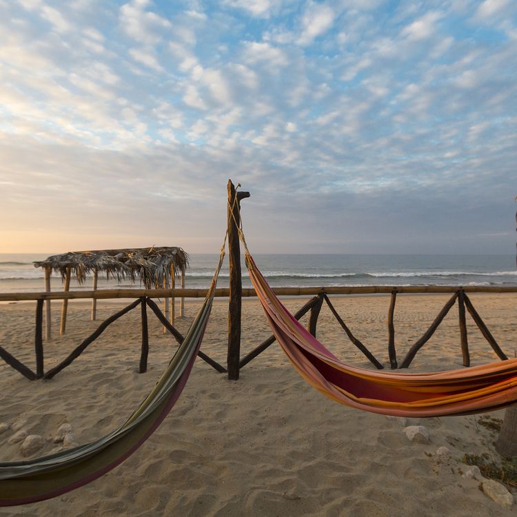 julioayala1965's tweet image. ¿Te provoca una siesta en la playa? Nada mejor que hacerlo en Órganos, Vichayito, Máncora, Punta Sal, Zorritos...
#peru🇵🇪 #paisajesperu #culturaperu #goperu #goodvibes #greatday #adventure #amazing #beaches