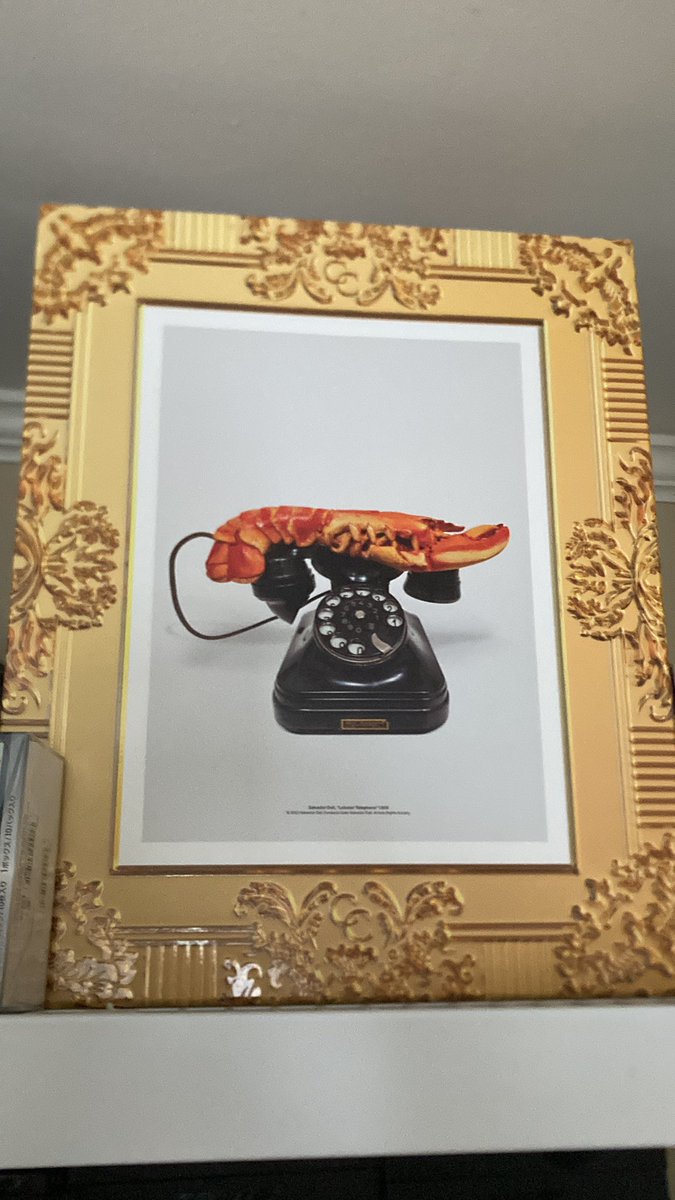 🍯🎒🦍 tweet media