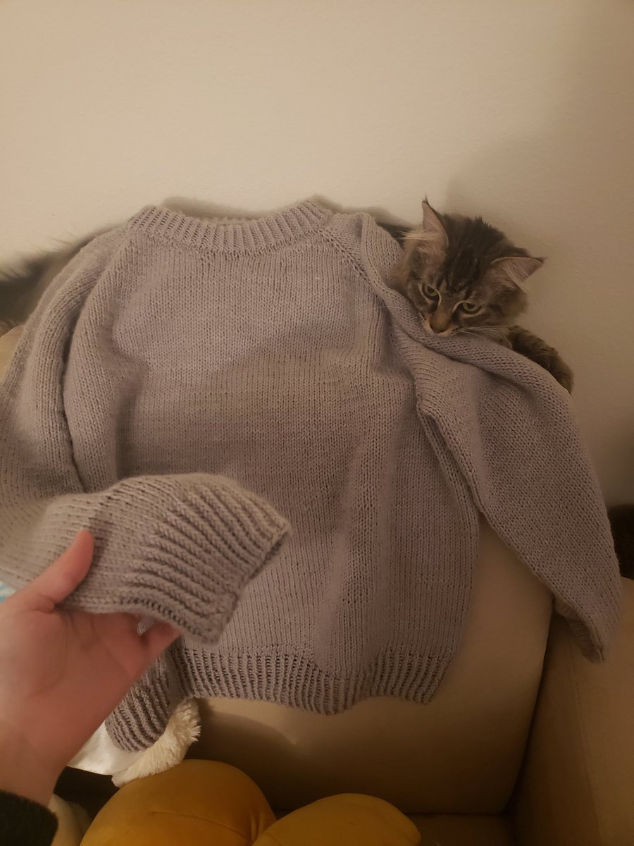 TeenieBeanieBB's tweet image. Finished the sweater!!!! I cant wait to send it out!!
#knittingtwitter #knitsweater #finishedproject