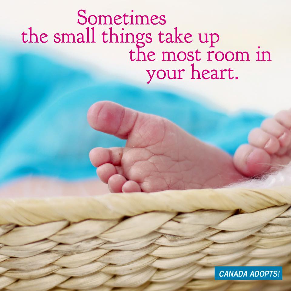 CanadaAdopts's tweet photo. Learn more about open adoption at https://t.co/Yyh7hIMd9c #openadoption #hopetoadopt #hopingtoadopt https://t.co/CbjeSbjOAO