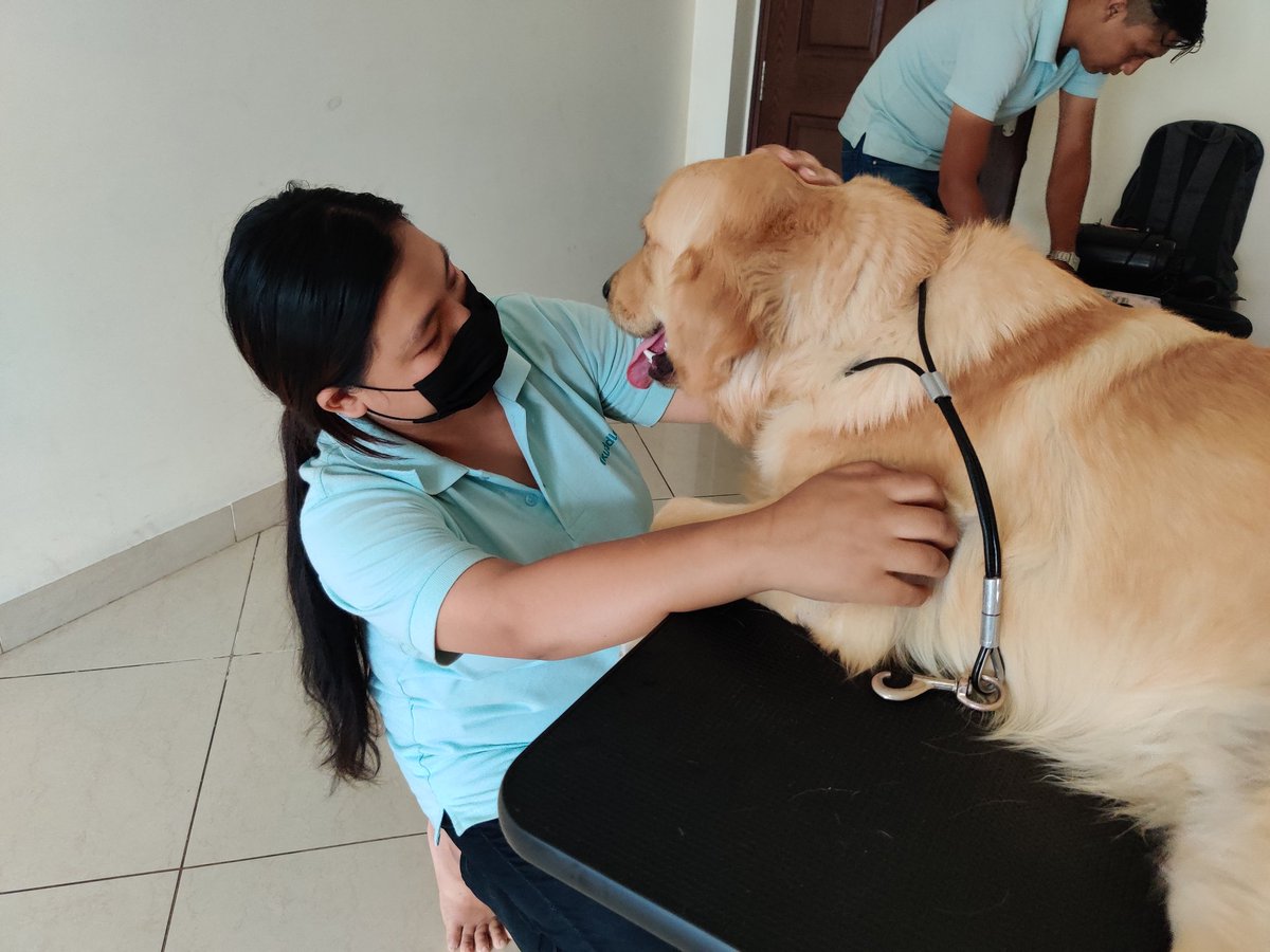 kuddle_pet's tweet photo. Arey ye toh ghar par hi ho jaata hai 🤭
#doorstepgrooming #Bengaluru #kuddlepet #groomingathome #petgrooming https://t.co/aB53KtlY94