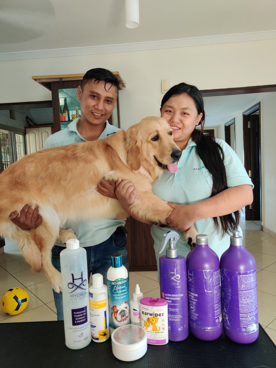 kuddle_pet's tweet photo. Arey ye toh ghar par hi ho jaata hai 🤭
#doorstepgrooming #Bengaluru #kuddlepet #groomingathome #petgrooming https://t.co/aB53KtlY94