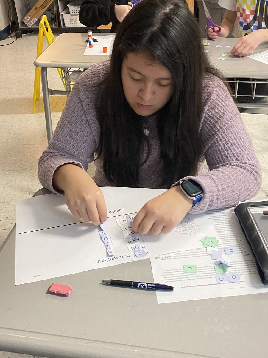 Students are using knowledge of photosynthesis and cellular respiration as well as chemistry to model the reactions. Students must problem solve how many of each molecule is needed to balance the equation.