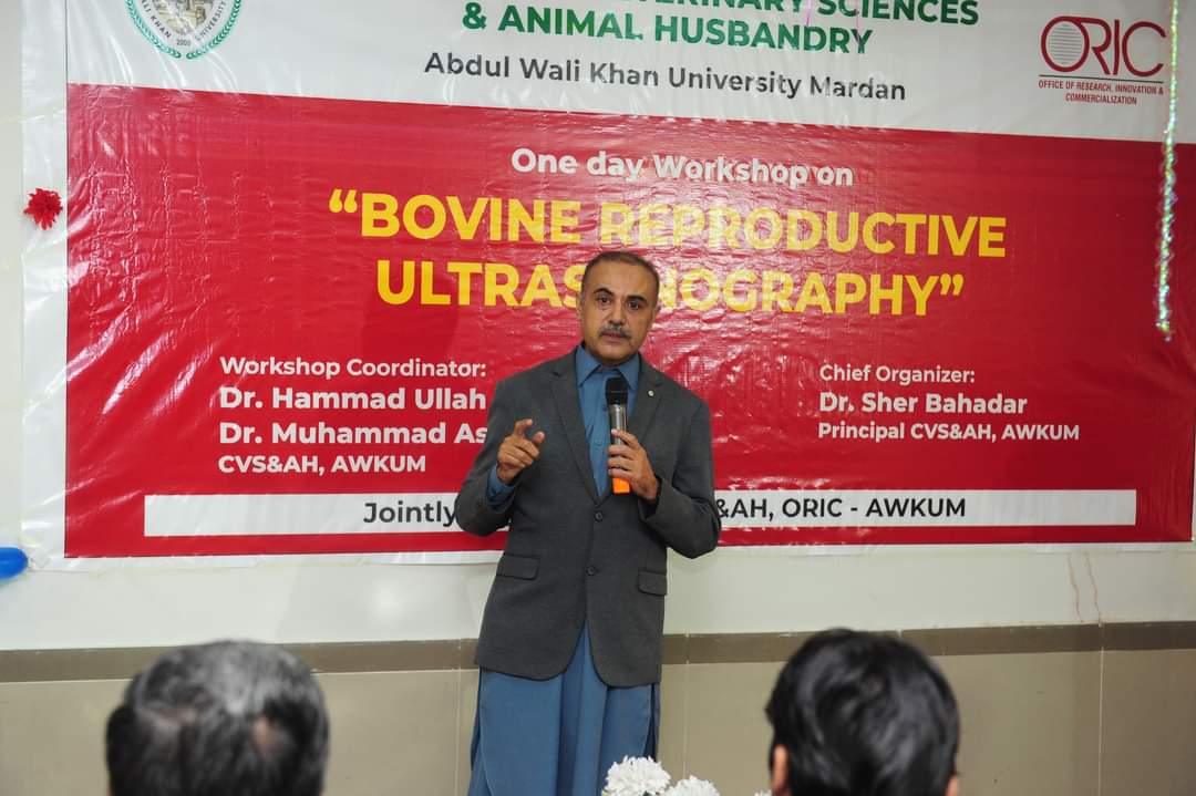 AWKUMofficial's tweet photo. A one-day training workshop was organized in Abdul Wali Khan University, Mardan, under the auspices of the College of Veterinary Sciences, the topic of which was Bovine Reproductive Ultrasonography. https://t.co/oWRjZqyb8c