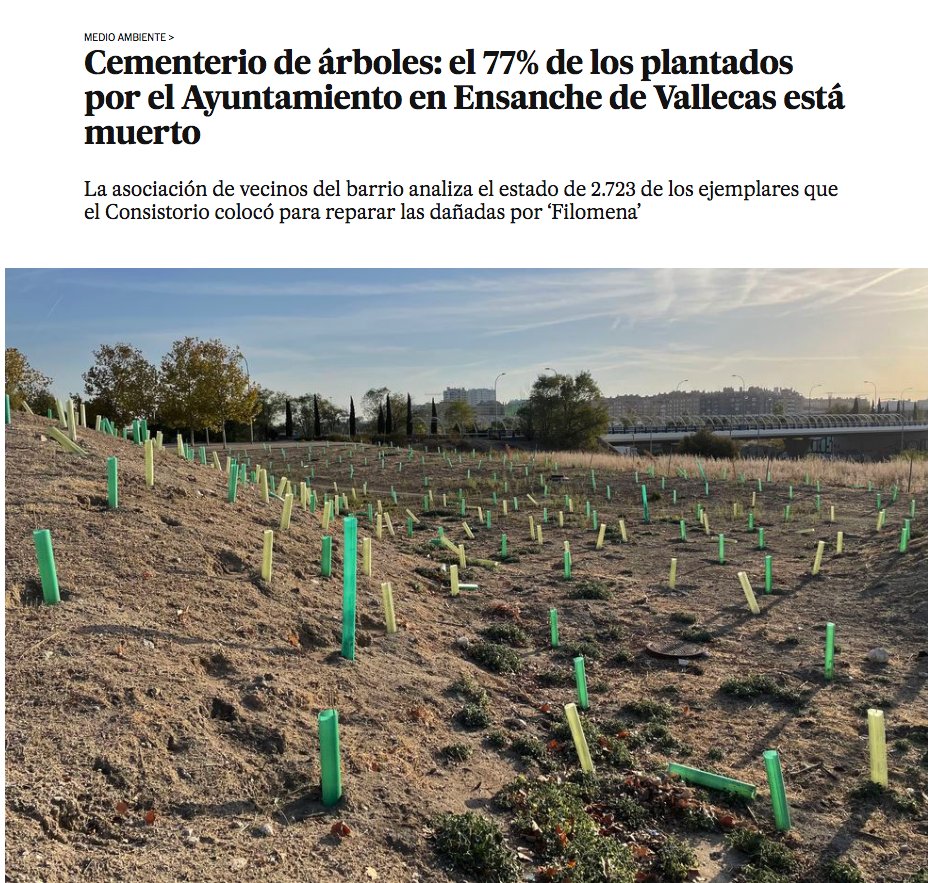 Leganav's tweet photo. @elmanyana Si no han sido capaces de cuidar los árboles que plantaron -a destiempo- tras Filomena, imagina cuánto durarán esos jardines que requieres de enormes esfuerzos de mantenimiento. https://t.co/vRkzn9Uevi