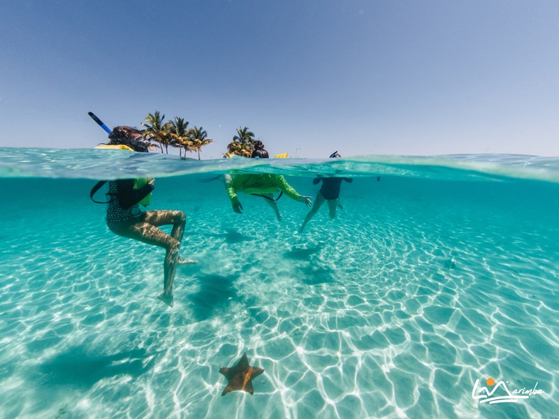 El periódico estadounidense The New York Times publicó la lista de los 52 sitios paradisíacos a visitar en el 2023, entre ellos está Cayos Cochinos, Honduras.😍🇭🇳❤️ bit.ly/3X7Km6W