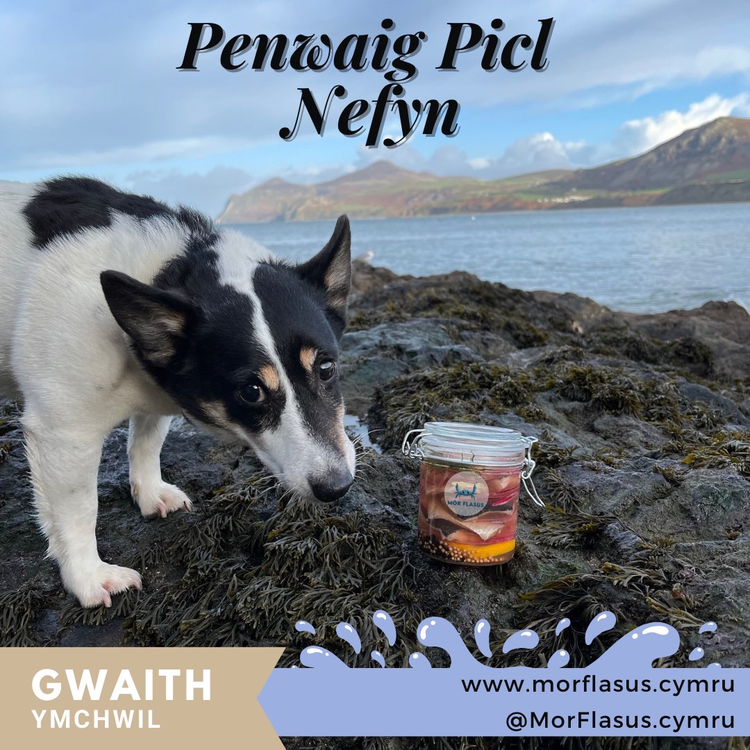 Sionyn yn gwybod be sy’n y jar!!