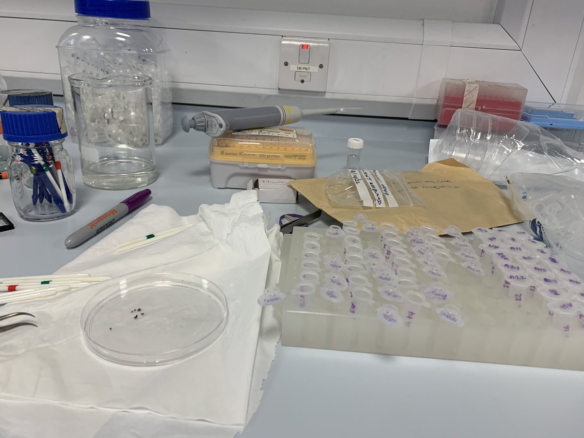 Back at it. Ready for a big year!
#PhDlife #labwork #TickResearch #LymeDisease #ACCE_dtp #UniversityOfLiverpool