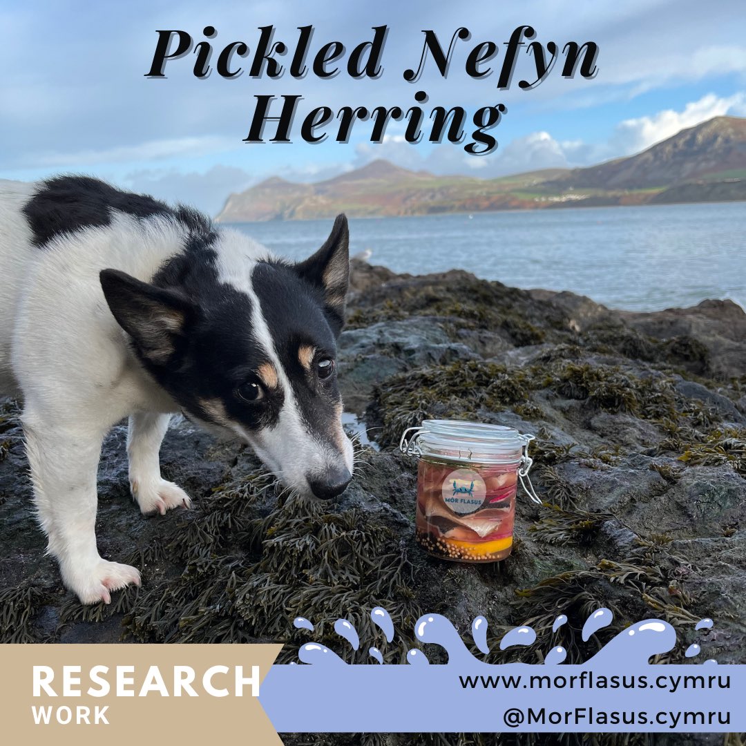 Sionyn know’s what’s in the jar