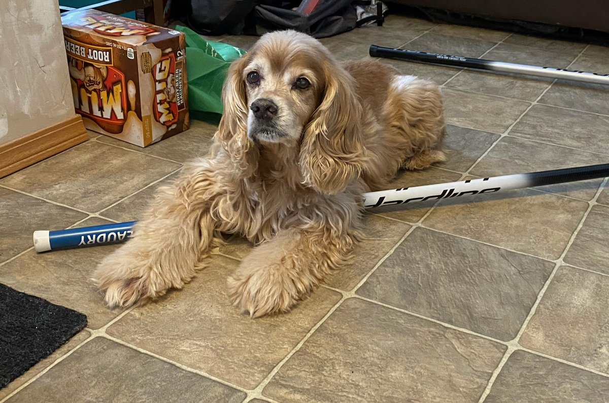 Riley is set for tonight’s start of the <a href="/curlmanitoba/">CurlManitoba</a> MB Open. Anyone need a fifth?! 🥌🐶😬#HardlineNation