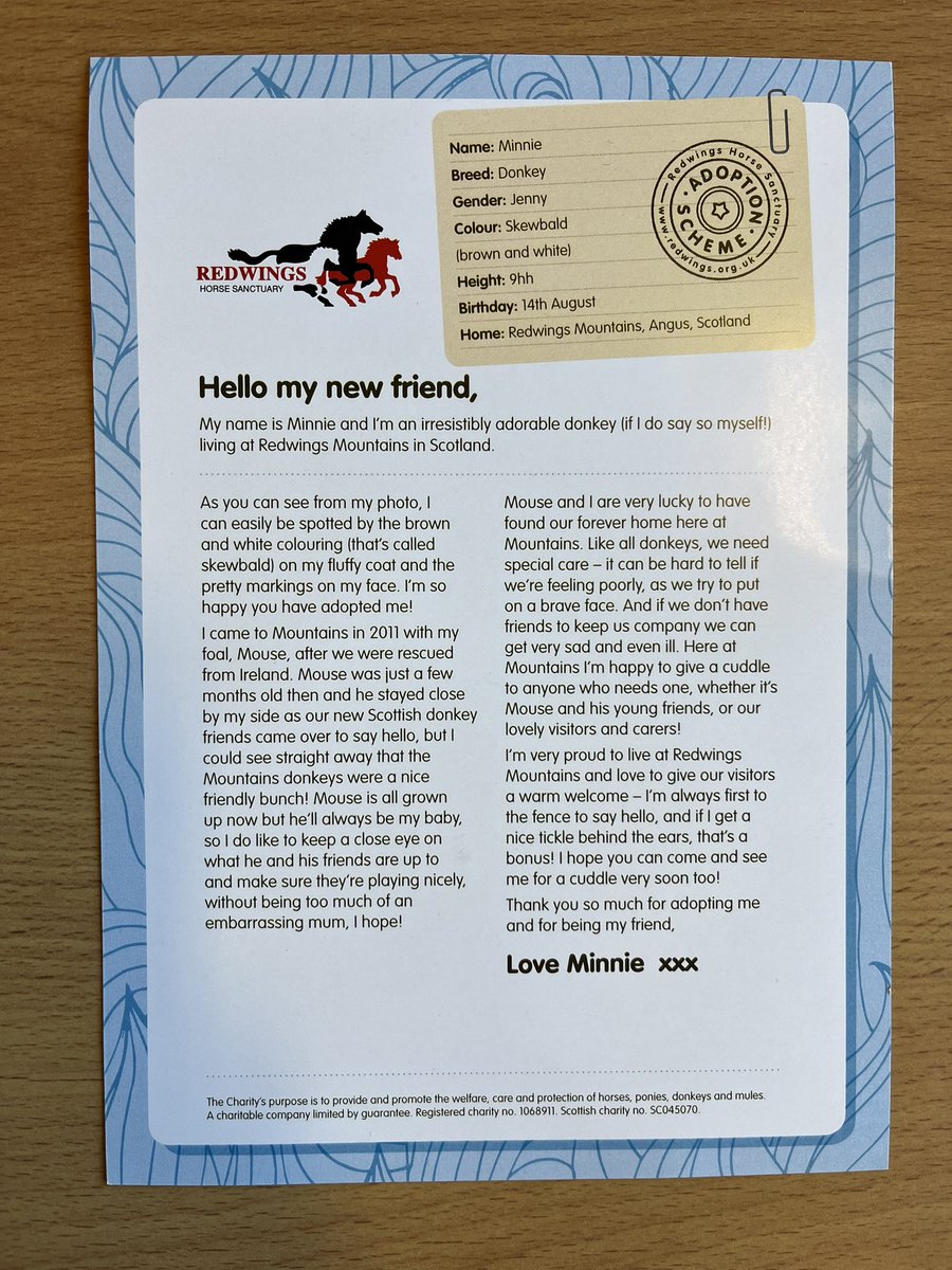 Whitehillsps's tweet image. P4 were very excited this week when their adoption pack arrived from @RedwingsHS. We are looking forward to following Minnie’s adventures.  #P4H #P4S #BEST