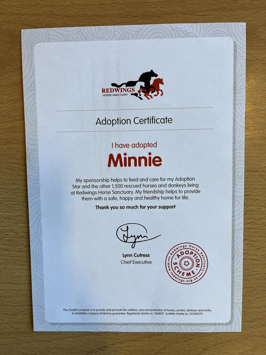 Whitehillsps's tweet image. P4 were very excited this week when their adoption pack arrived from @RedwingsHS. We are looking forward to following Minnie’s adventures.  #P4H #P4S #BEST