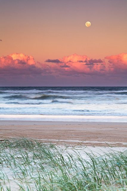 Aleksandar Mitrovic tweet media