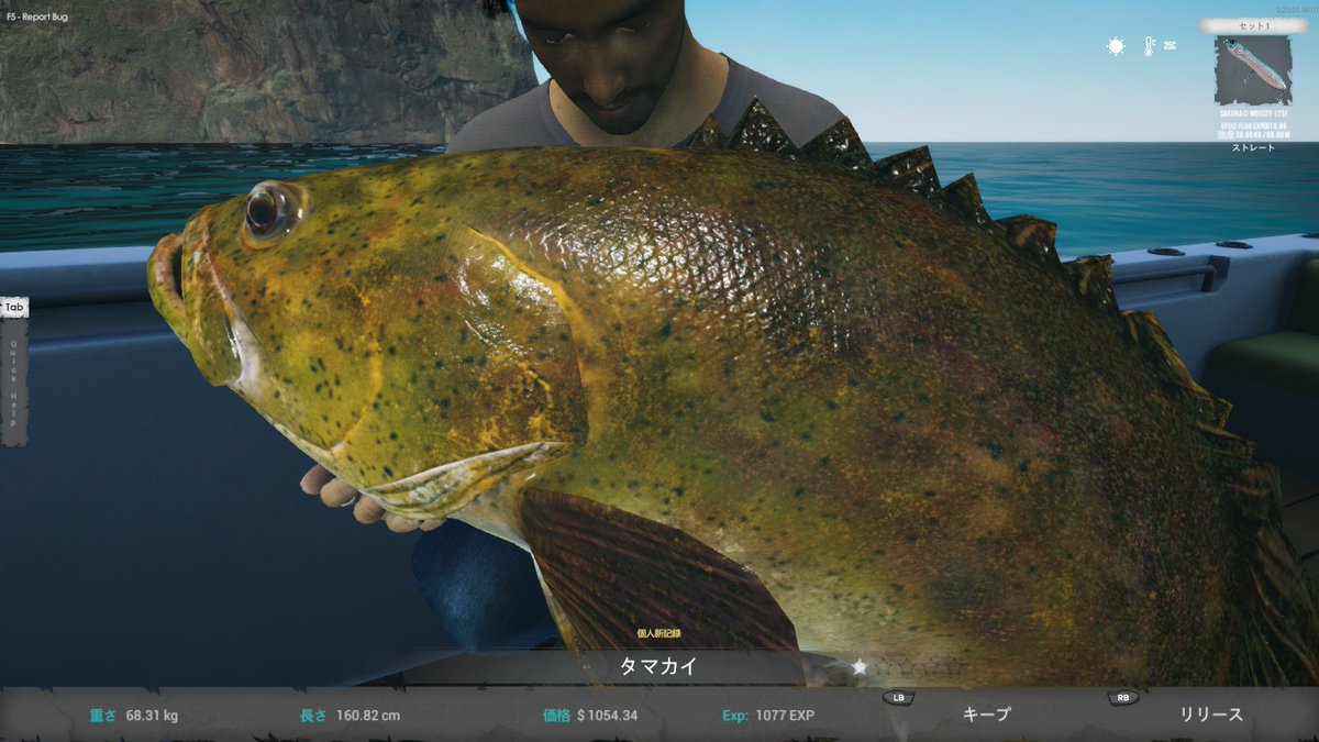 taki_hw2oku's tweet photo. ついに釣れたタマカイ　ガチでデカい #USF2 https://t.co/TB0LZQNs72