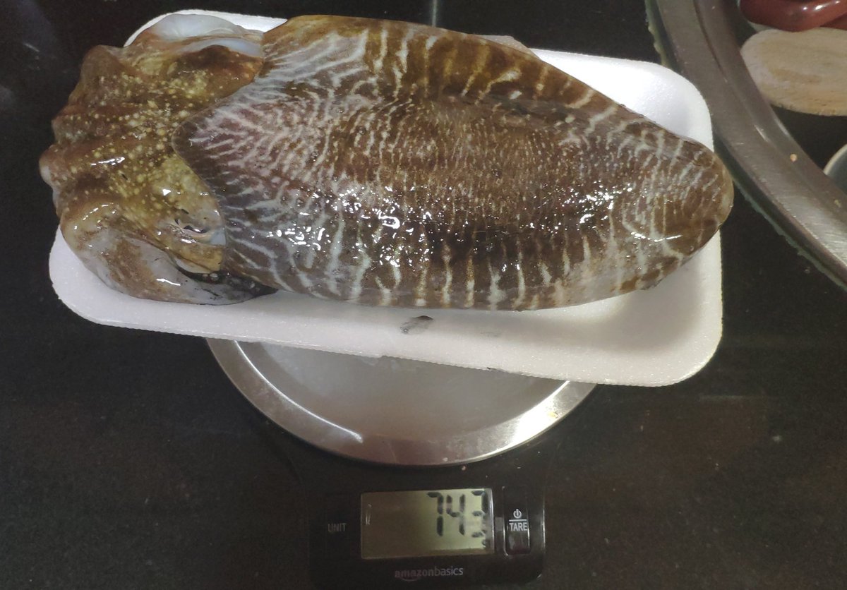 mowibg's tweet photo. Siuuuu🎣🎣 https://t.co/dkGKBSX3sZ