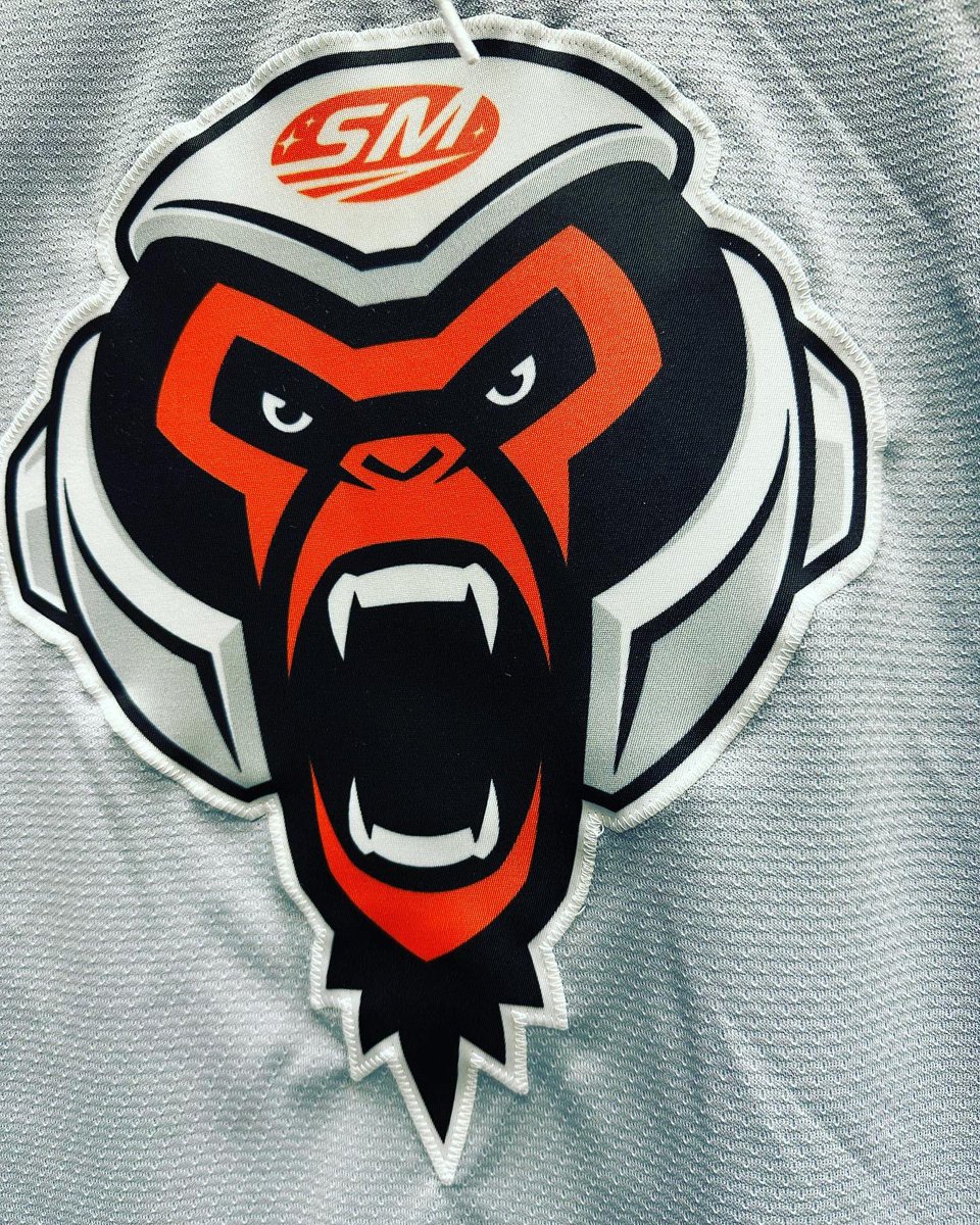 mj_corp's tweet photo. Cool jerseys for the local Space Monkeys Hockey team! 🪐🐒🏒
.
.
.
#spacemonkey #hockey #teamgear #customjersey #logos #logodesign #monkey #mjcorp https://t.co/Ndrr8aGquF