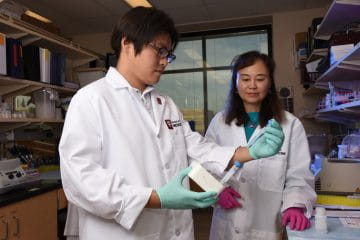 MSHSgrad's tweet photo. With innovative resources and renowned faculty, musculoskeletal research within the @IUICMH spans from molecular and cell biology, to animal models, as well as clinical studies. If you're interested in learning with us... https://t.co/sbohq1EYaW https://t.co/D1afLEFHgy
