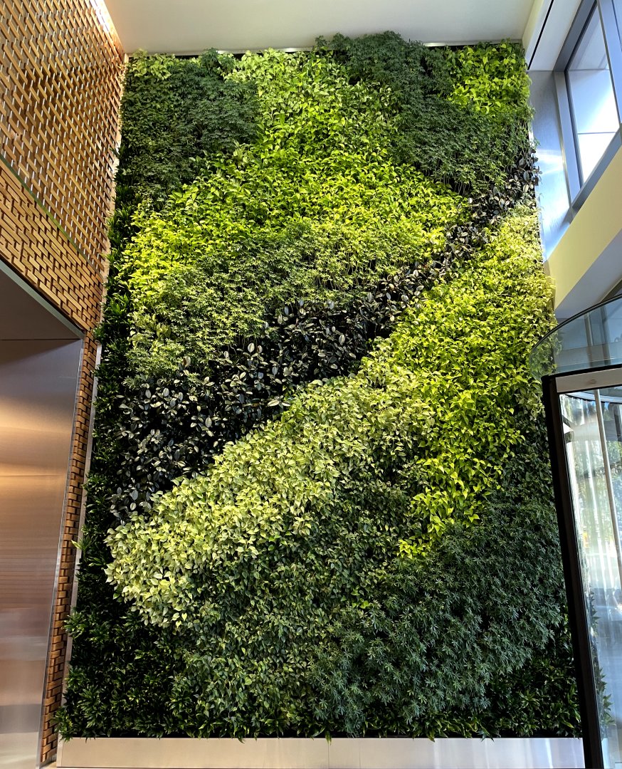 📍Steptoe & Johnson’s offices | Washington, DC. 🌱Two story living plant wall covered with tiny pots of oft-tended plants under growth-encouraging lighting, stretch from the lobby to the next floor #biophilia #greenwalls #architecture #design
